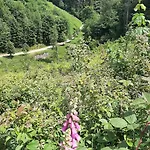 Hébergement de vacances Tiny Gaumaise - Tiny House à