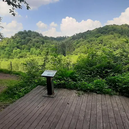 別荘 Tiny Gaumaise - Tiny House A *