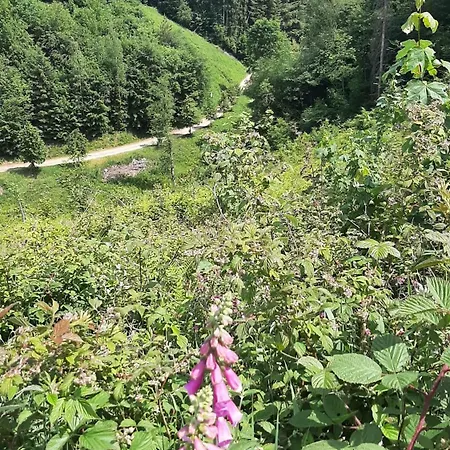 Tatil Evi Tiny Gaumaise - Tiny House A